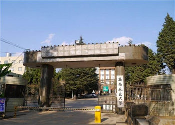 西南林业大学2018年云南成人高考招生简章