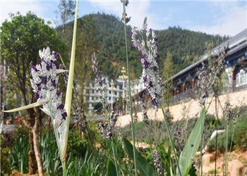 昆明卫生职业学校2019年三年制报名方法(图1) 昆明卫生职业学校2019年三年制报名方法