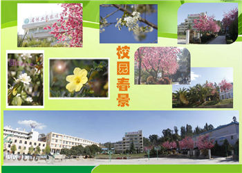 云南省林业技工学校2018年中专报名须知(图1) 云南省林业技工学校2018年中专报名须知