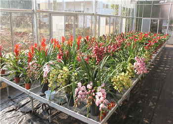 昆明林业高级技工学校2018年中专报名时间