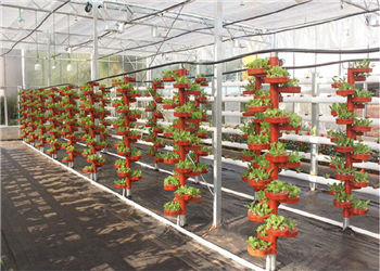 云南林业高级技工学校2018年中考补报志愿时间