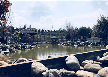 昆明南方青年进修学院2019年普通中专招生专业