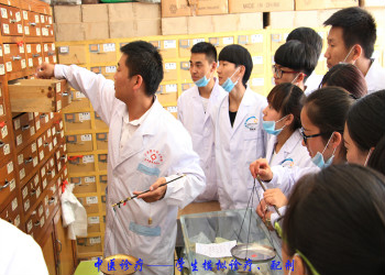 云南新兴职业学院2019年五年制专科招生专业