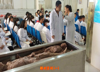 云南新兴职业学院2019年五年制专科招生信息