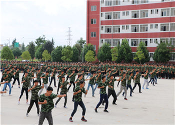 曲靖市高级技工学校2019年国家计划内招生专业