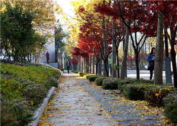 云南林业职业技术学院2018年五年制大专新增招生专业(图1) 云南林业职业技术学院2018年五年制大专新增招生专业