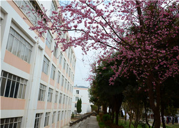 云南中医药中等专业学校2019年五年制高职重点专业