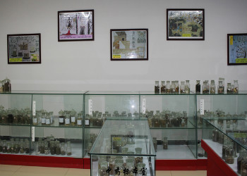 云南新兴职业学院2020年五年制高职计划内招生专业(图1) 云南新兴职业学院2020年五年制高职计划内招生专业