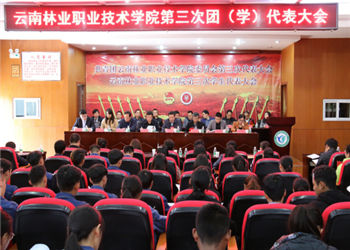 云南林业职业技术学院2019年五年制新增专业(图1) 云南林业职业技术学院2019年五年制新增专业