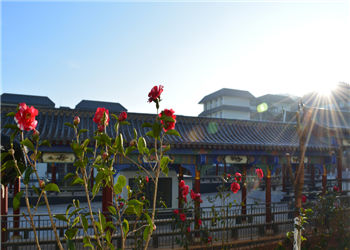 昆明卫生职业学院2019年中专报名条件