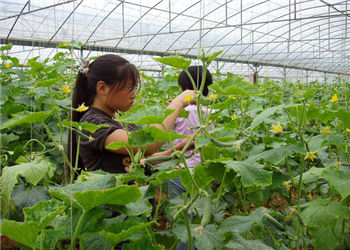 云南农业职业技术学院2019年五年制高职热门专业(图1) 云南农业职业技术学院2019年五年制高职热门专业