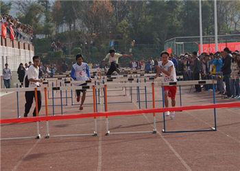 云南林业职业技术学院2019年招生指南(图1) 云南林业职业技术学院2019年招生指南