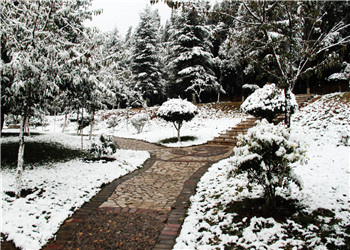 云南工贸职业技师学院2019年五年制大专招生问答(图1) 云南工贸职业技师学院2019年五年制大专招生问答