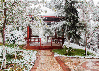 云南工贸职业技术学校2019年五年制大专招生指南(图1) 云南工贸职业技术学校2019年五年制大专招生指南