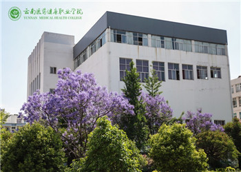 云南健康医药职业学院2020年五年制大专招生咨询电话(图1) 云南健康医药职业学院2020年五年制大专招生咨询电话
