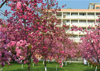 昆明卫生医学职业学院2020年普通中专专业信息