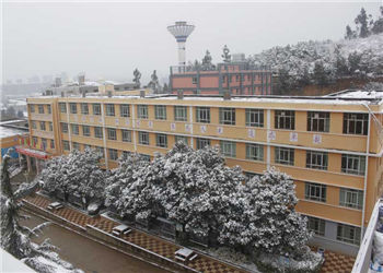 云南林业学校2020年报名代码