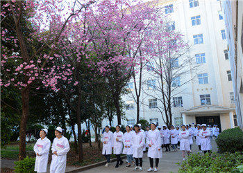 云南省中医药中等学校2020年五年制大专招生报名时间(图1) 云南省中医药中等学校2020年五年制大专招生报名时间