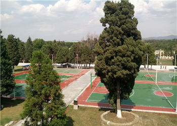 云南畜牧兽医职业学校2020年五年制大专招生地址(图1) 云南畜牧兽医职业学校2020年五年制大专招生地址