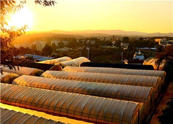 云南畜牧兽医学院2020年五年一贯制大专专业信息(图1) 云南畜牧兽医学院2020年五年一贯制大专专业信息