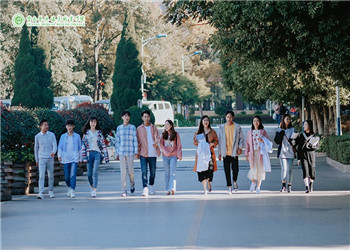 云南医药健康职业学院2020年计划内招生专业