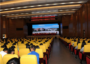 云南财经学院2020年五年制初中起点有哪些(图1) 云南财经学院2020年五年制初中起点有哪些