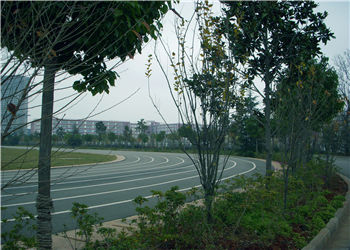 曲靖职业技术学院2020年五年制大专录取分数线是多少(图1) 曲靖职业技术学院2020年五年制大专录取分数线是多少