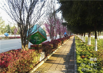 曲靖职业技术学院五年一贯制大专2020年秋季分数线(图1) 曲靖职业技术学院五年一贯制大专2020年秋季分数线