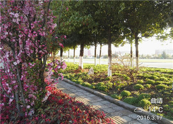 曲靖职业技术学院2020年五年制大学分数线(图1) 曲靖职业技术学院2020年五年制大学分数线