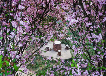 云南交通运输职业学校2020年五年一贯制大专专业有什么(图1) 云南交通运输职业学校2020年五年一贯制大专专业有什么