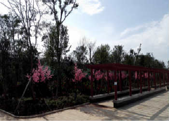 曲靖职教集团2020年都有那些专业(图1) 曲靖职教集团2020年都有那些专业