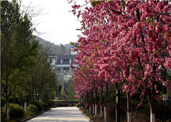 昆明卫生职业学院昆明校区2021年中专班招生标准(图1) 昆明卫生职业学院昆明校区2021年中专班招生标准