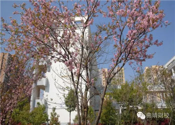 云南省曲靖财经学校2021年中专班报名地点(图1) 云南省曲靖财经学校2021年中专班报名地点