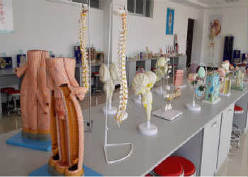 曲靖市麒麟职业技术学校2021年招生报名系统入口(图1) 曲靖市麒麟职业技术学校2021年招生报名系统入口