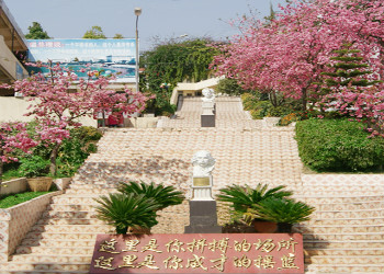 云南新兴职业学院2022年中专班招生计划(图1) 云南新兴职业学院2022年中专班招生计划(图1)
