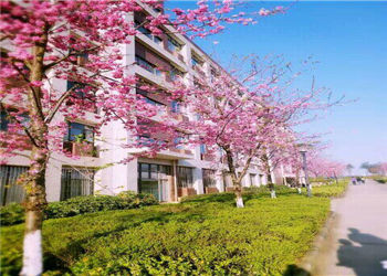 云南商务职业学院2022年中专是公办还是民办(图1) 云南商务职业学院2022年中专是公办还是民办(图1)