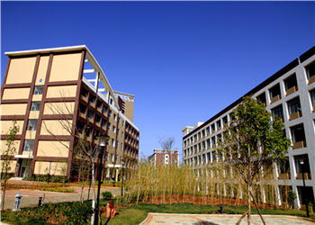 云南商务职业学校2022年三年制热门招生计划(图1)