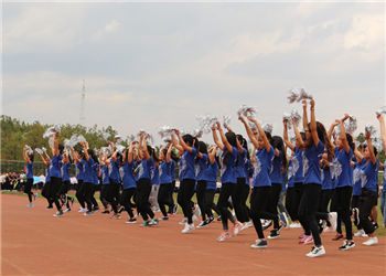 云南商务学院2022年三年制报名与报读须知(图1)