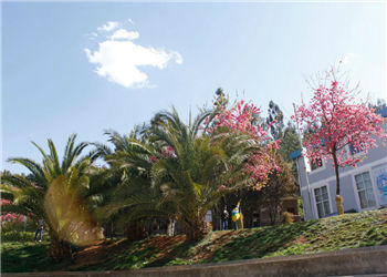 云南林业技工学校2022年报名有哪些专业(图1) 云南林业技工学校2022年报名有哪些专业(图1)