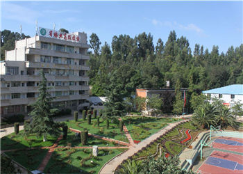 云南省林业高级技工学校2023年招生对象(图1) 云南省林业高级技工学校2023年招生对象(图1)