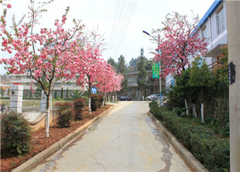 云南省林业技工学校2023年三年制有哪些专业(图1) 云南省林业技工学校2023年三年制有哪些专业(图1)