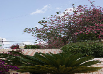 云南新兴职业学院2023年五年一贯制大专报名条件(图1) 云南新兴职业学院2023年五年一贯制大专报名条件(图1)