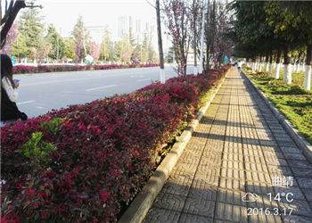 曲靖职业技术学院2023年五年制高职报名条件(图1)