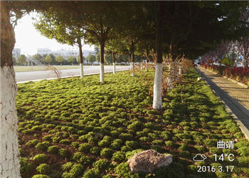 曲靖职业学院2023年五年制大专招生指南(图1)