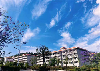 文山工商信息管理学校2023年五年制有什么专业(图1)