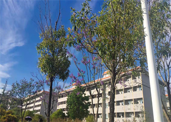 文山州工商管理学校2023年五年制高职专业设置(图1)