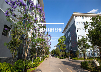 玉溪农业职业技术学院2023年五年制招生电话(图1) 玉溪农业职业技术学院2023年五年制招生电话(图1)