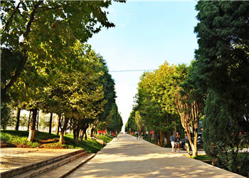 云南农业职业技术学院2024年五年制大专报名指南