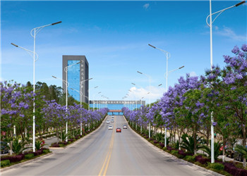 云南交通运输职业学院2024年五年制招生信息