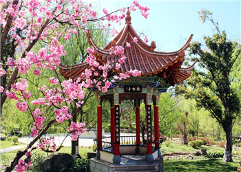 云南交通运输职业学院2024年五年制大专招生专业 云南交通运输职业学院2024年五年制大专招生专业